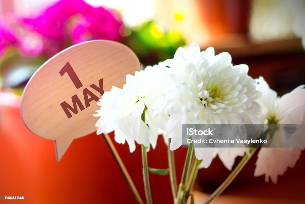 May First Text Image May 1st Image Of May 1 Label With Chrysanthemums Spring Day Empty Space ...