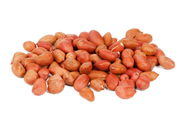 istock Dried peanuts in red husk isolated on white background. 1400831816