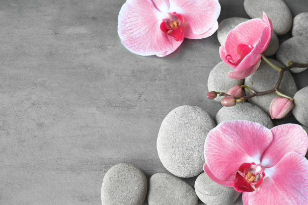 istock Flat lay composition with spa stones, orchid pink flower on grey background. 1400834667