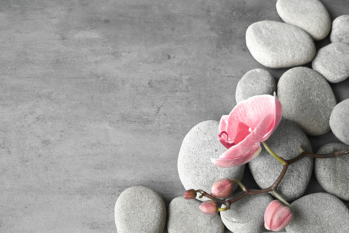 Flat lay composition with spa stones, orchid pink flower on grey background. Spa concept.