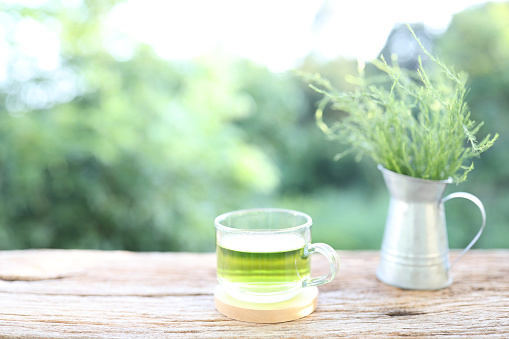 Green tea glass cup and Eupatorium capillifolium vegetable