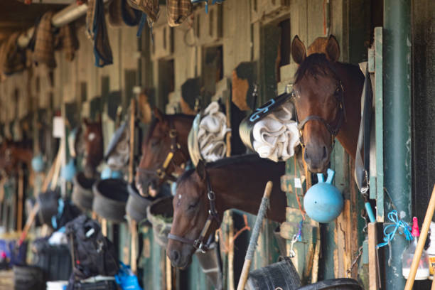 Documenting a day at the horse race track.  Behind the scenes, the jockeys, the patrons, and the race and the hats!