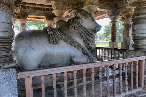 20 December 2021, largest Monolithic Nandi Statue at Hoysaleswara Temple, Glorious Nandi (Lord Shiva's bull) Mandap, Belur and Halebidu. Started in 1116AD and took 103 years to complete, Halebidu, a town in the state of Karnataka, India