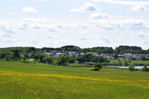 istock blooming grassland at the lake 1400842175