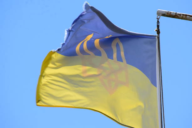 istock blue and yellow flag in the wind 1400843556