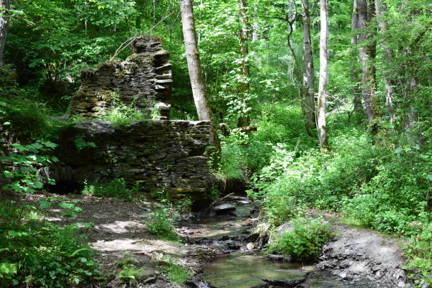 istock old ruin walls in the forest 1400846045