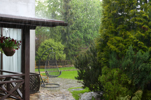 downpour in the garden stock photo