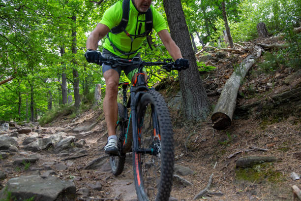istock Mountain biker at a stony spot in the Palatinate Forest, Germany 1400849986