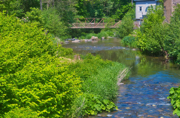istock Summer on the Rennsteig in Thuringia 1400849996