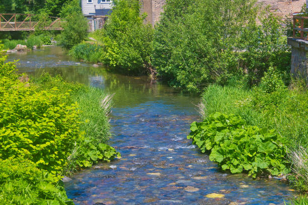 istock Summer on the Rennsteig in Thuringia 1400850100