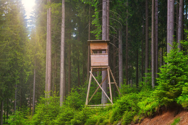 Summer on the Rennsteig in Thuringia