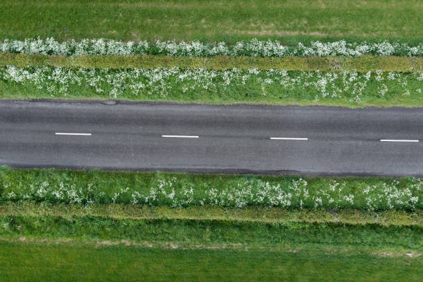 vista de drone de uma estrada rural vazia na escócia - grass shoulder rural scene road wildflower - fotografias e filmes do acervo