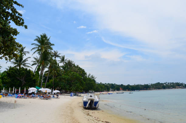 istock views of the beach, palms and water 1400853098