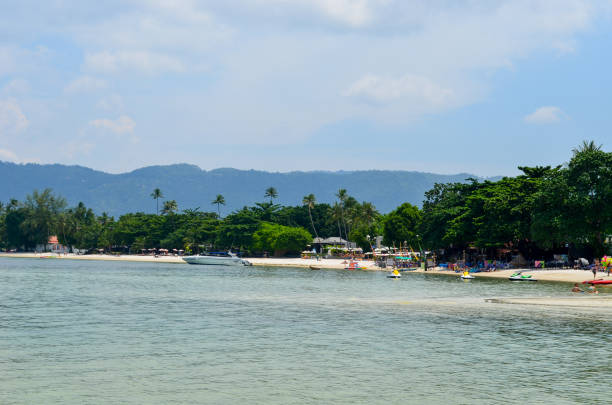 istock blue water, palms on the tropical beach 1400853118