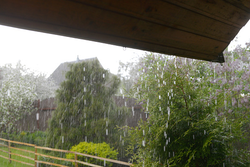 downpour in the garden