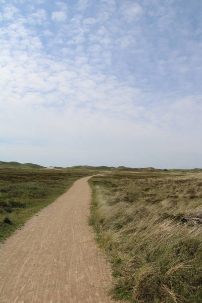 istock North Sea Cycle Route leading through the dunes 1400853291