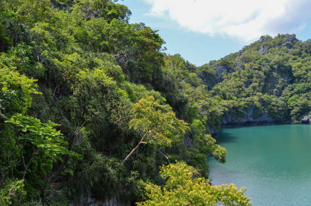 istock hills mountain in nature, views on emerald lake 1400853518