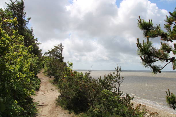 istock Wadden Sea National Park 1400854540