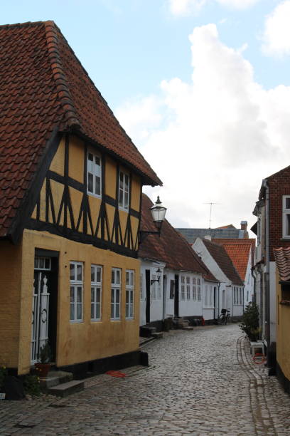 Houses in Ribe, Denmark Cycling on the Vestkystruten ribe town photos stock pictures, royalty-free photos & images