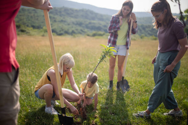 istock Volunteers have crazy fun while planting a tree in the park. 1400856919