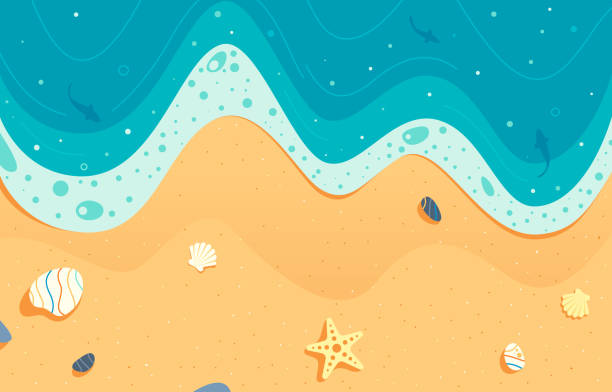 ilustraciones, imágenes clip art, dibujos animados e iconos de stock de ilustración detallada de la vista superior al mar y la playa. ilustración de fondo de vacaciones de verano. - sand beach sea wave