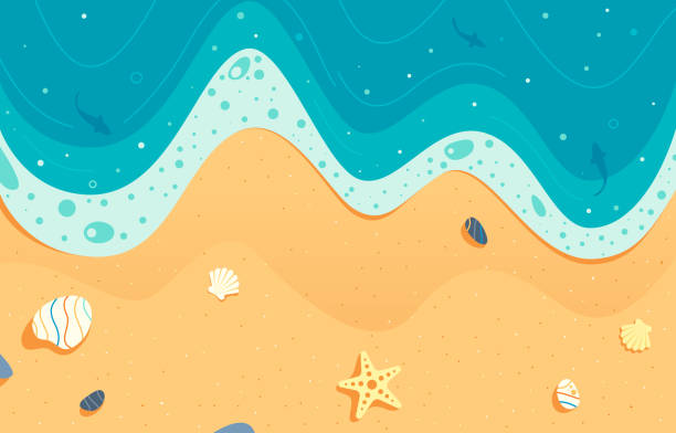 Detailed illustration of sea and beach top view. Summer vacation background illustration.
