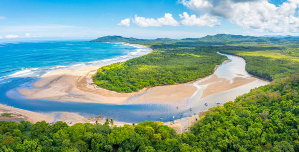 タマリンドビーチと河口、グアナカステ、コスタリカ - tropical rainforest travel beauty in nature environment ストックフォトと画像