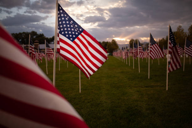 Single Flag Isolated in Field of Flags