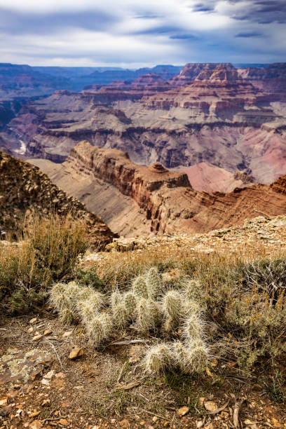 istock Grand Canyon South Rim 1400863265