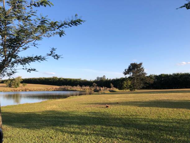 istock Lake view in a tranquility area 1400865130