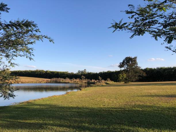 istock Lake view in a tranquility area 1400865140