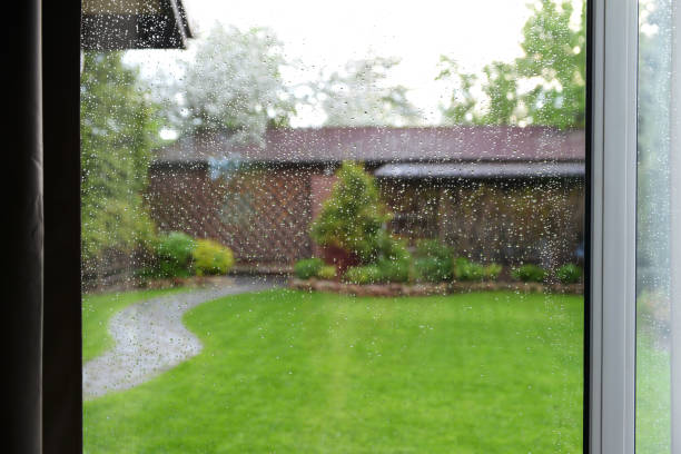 istock Torrential Rain  in the garden 1400869084