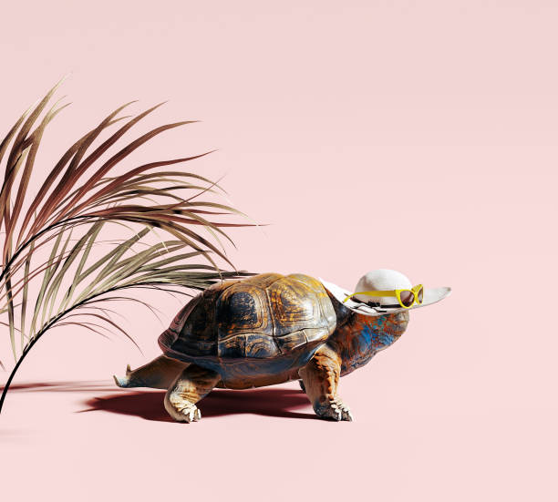 istock Colorful turtle with summer hat and palm leaf on pink background. Summer is coming concept. 1400869091