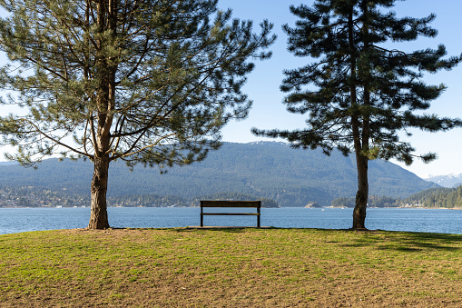 A wooden bench between two trees. Barnet Marine Park in a sunny day. Burrard Inlet shore. Burnaby, British Columbia, Canada.