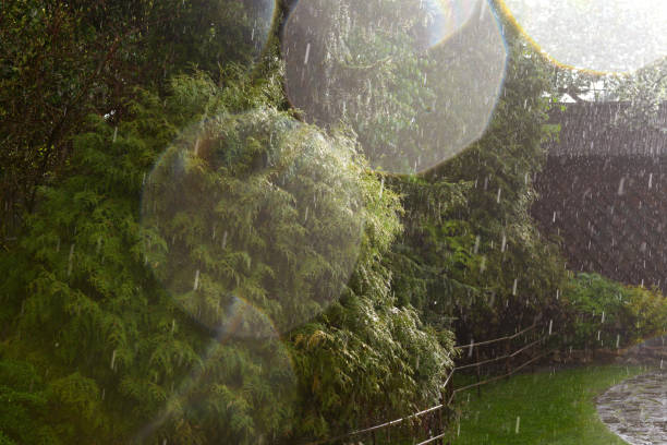 downpour in the garden