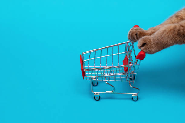 istock Cat paws push an empty shopping trolley on a blue background 1400875692