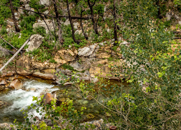 istock Akamina Parkway Waterton Lakes National Park Alberta Canada 1400876535
