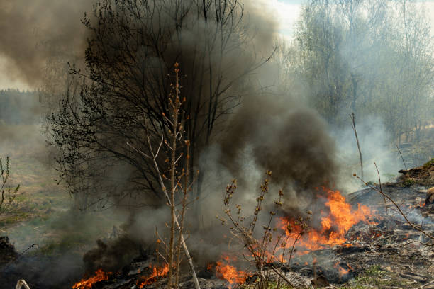 istock Fire in landfill. Fire and smoke. Burning garbage. 1400881188