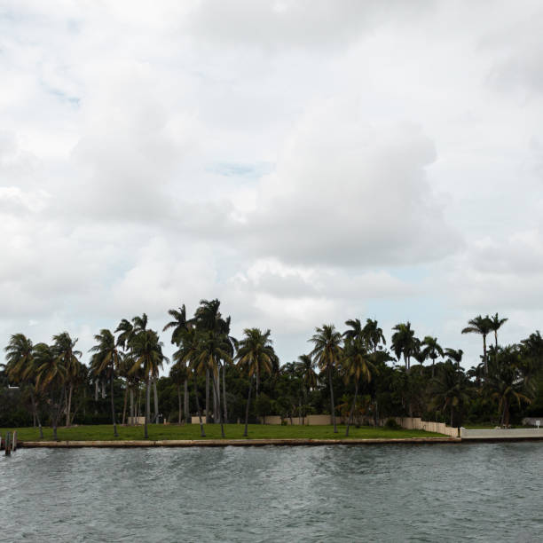 Landscape located in Miami, Florida