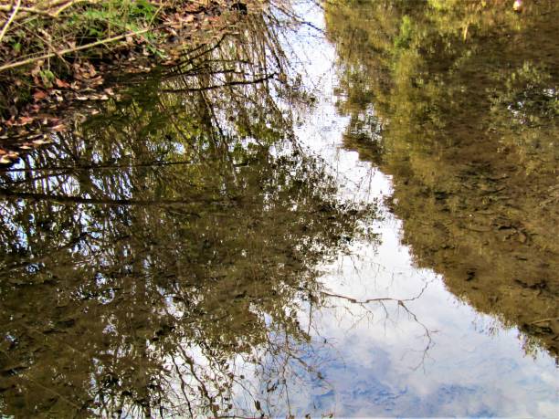 istock Japan. January. Calm water. Reflections. 1400882939