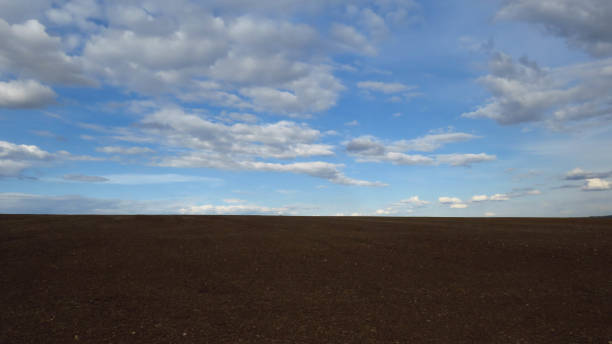 istock Furrows row pattern in a plowed field prepared for planting crops in spring. Horizontal view in perspective 1400884606