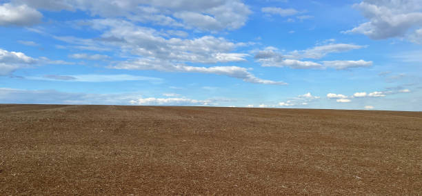 istock Furrows row pattern in a plowed field prepared for planting crops in spring. Horizontal view in perspective 1400884648