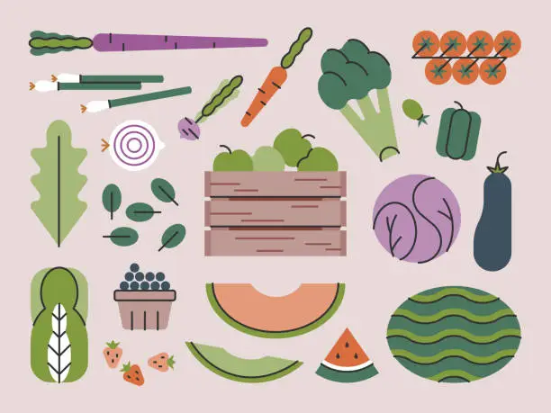 Vector illustration of Fresh Produce Harvest — Brightline Series