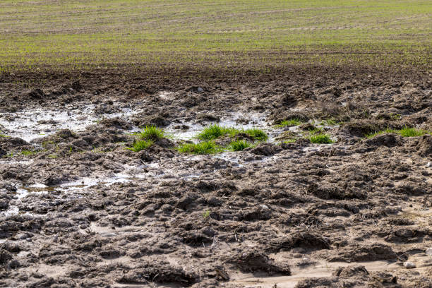 istock wet soil mud on an agricultural field 1400886563