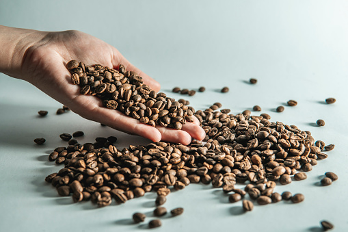 A picture of a hand holding coffee beans. On a white background.