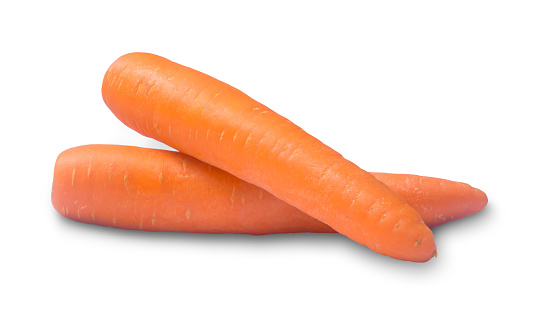Two fresh orange carrot vegetables are isolated on white background with clipping path.