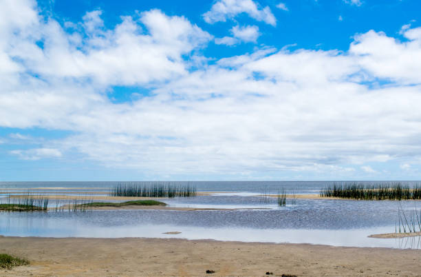 view of lagoa dos patos with blue sky and clouds
