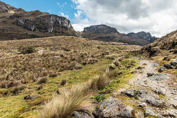 istock Hiking footpath in Cajas National Park,  Ecuador 1400920008