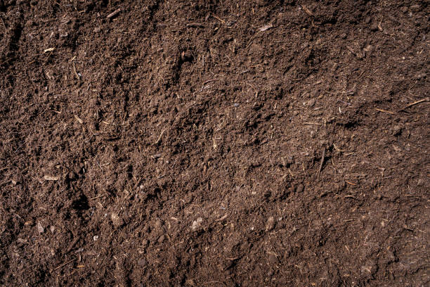 istock Close up of Soil background 1400931143