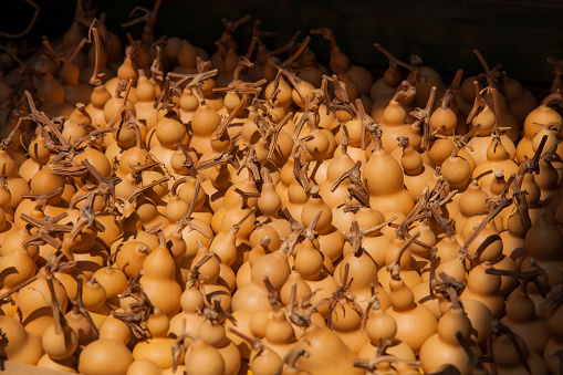 Heaps of small gourds, close-up photo